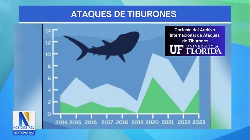 Incremento significativo en ataques de tiburón en la Isla del Padre en un solo día