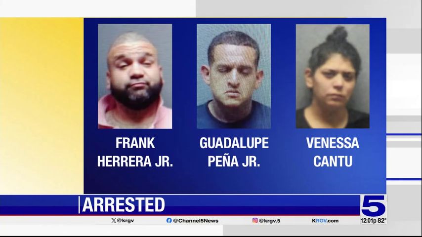 Gang members arrested in Alamo after traffic stop leads to seizure of narcotics, firearms