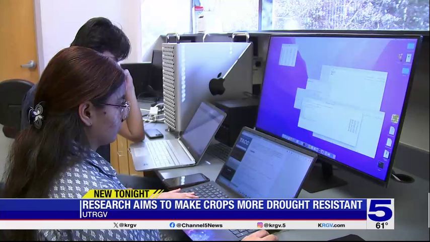 Research at UTRGV aims to make crops more drought resistant