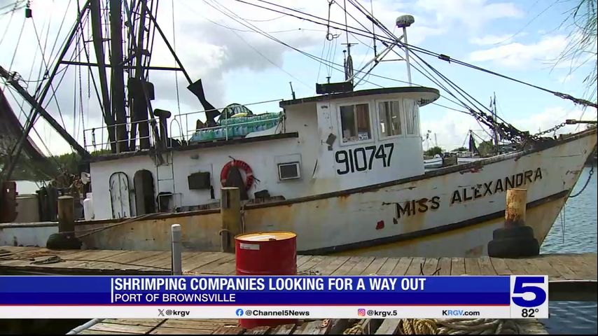 Valley shrimping companies looking for a way out