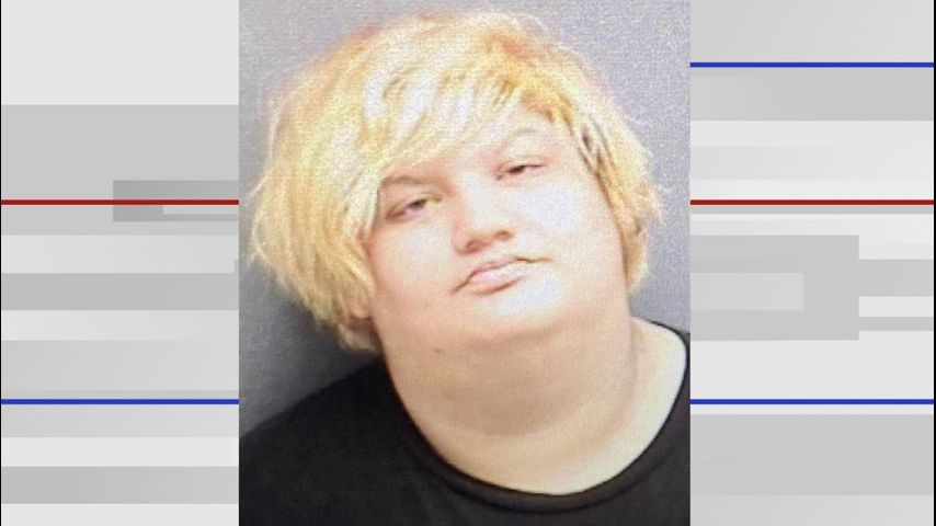 Woman arrested following Edinburg stabbing incidents - Vimarsana News