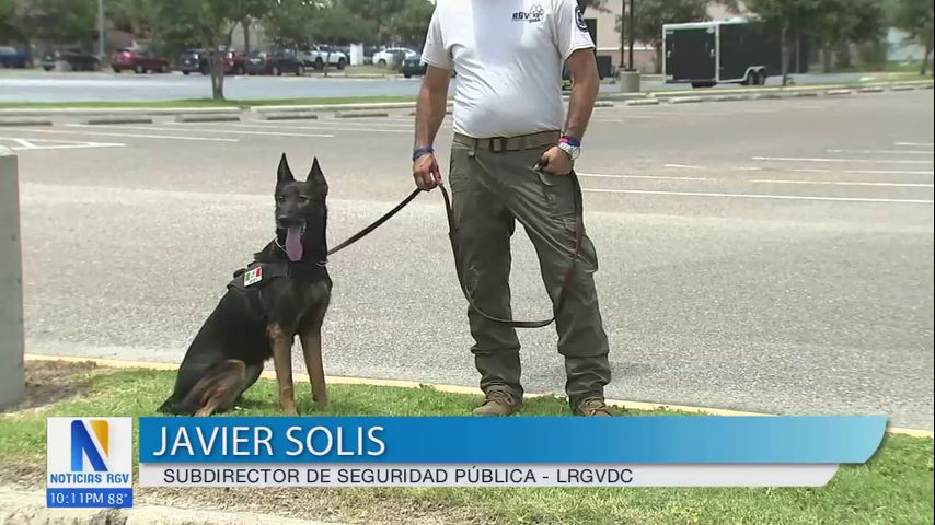 Unidades policiales caninas demuestran sus habilidades en competencia anual de seguridad pública