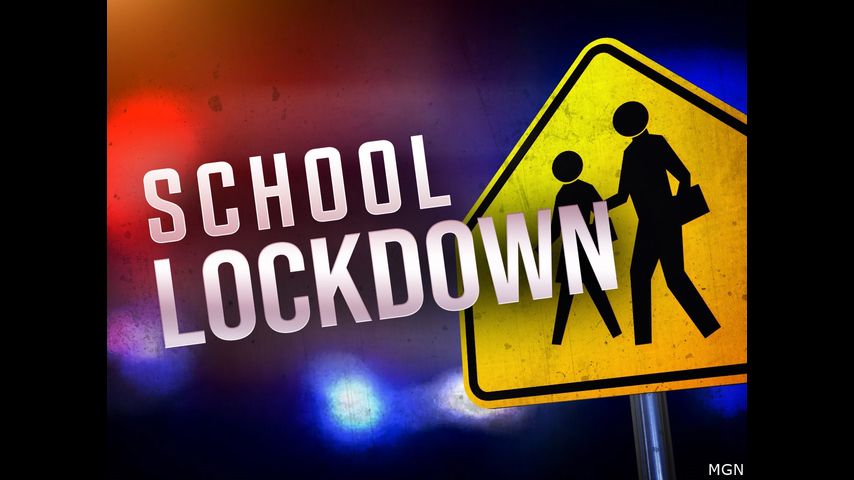 Brownville police: Hoax caller triggers lockdown at Harmony School of Innovation