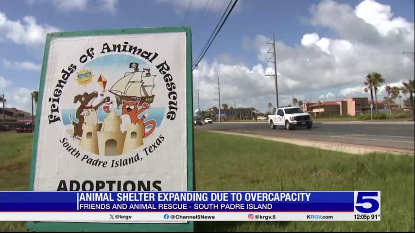 South Padre Island animal shelter announces expansion project