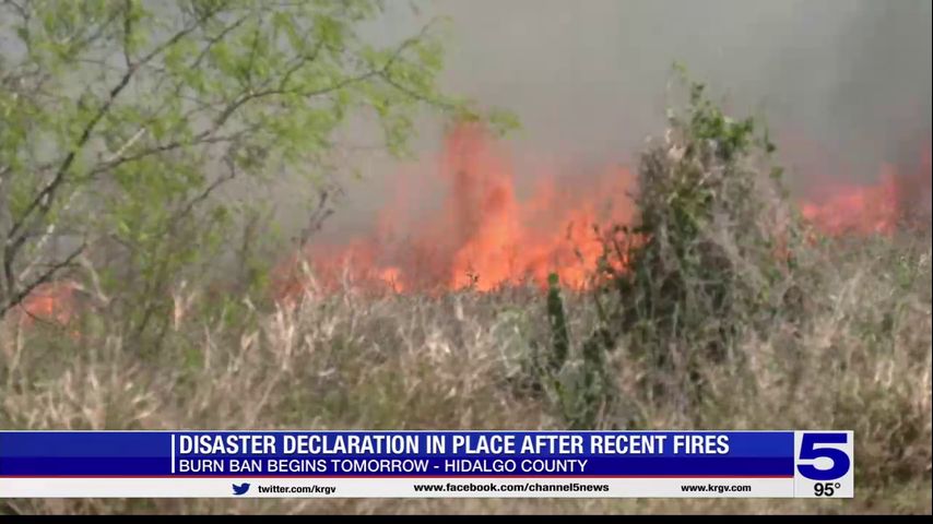 Hidalgo County declares local state of disaster due to wildfires