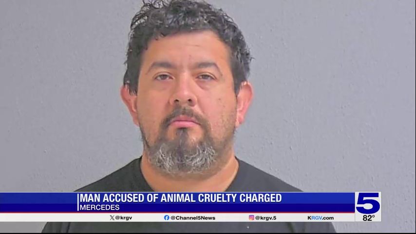 Mercedes man facing animal cruelty charges