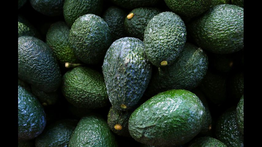 US suspends Mexican avocado imports on eve of Super Bowl