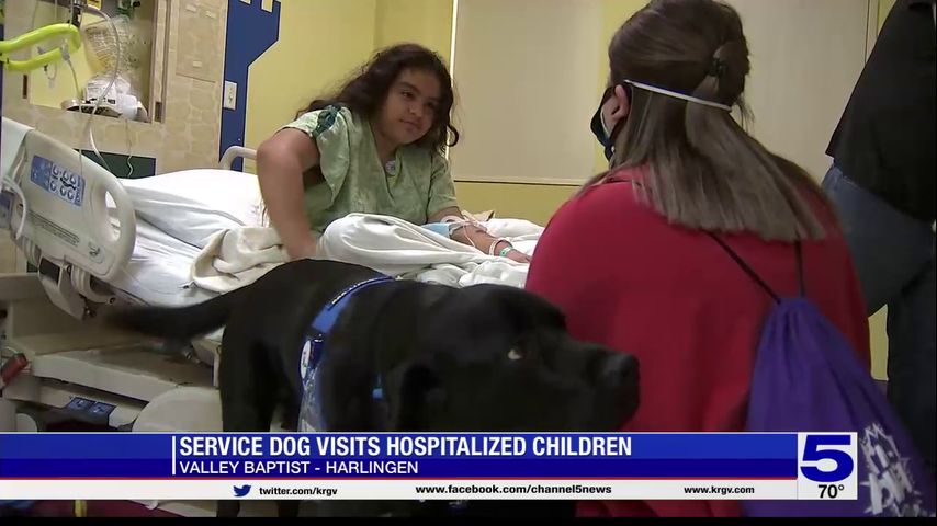 Service dog visits hospitalized children in Harlingen