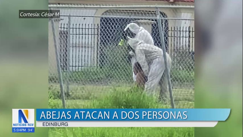 Un hombre y una mujer hospitalizados tras un ataque de abejas en Edinburg