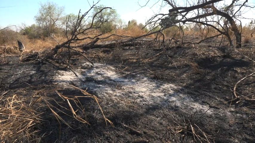 Two fires break out in Starr County wildlife refuge, investigation underway