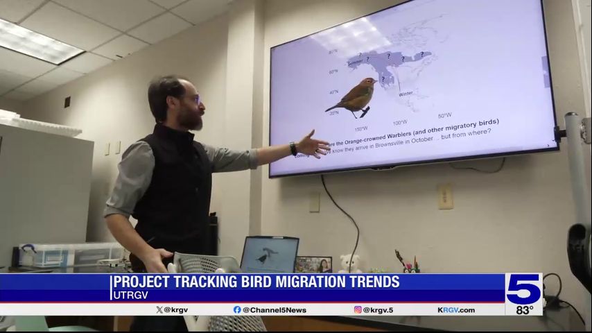 UTRGV project tracks bird migration trends