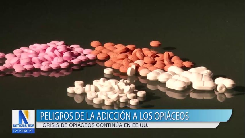 Alertan sobre los riesgos de la adicción a los opioides