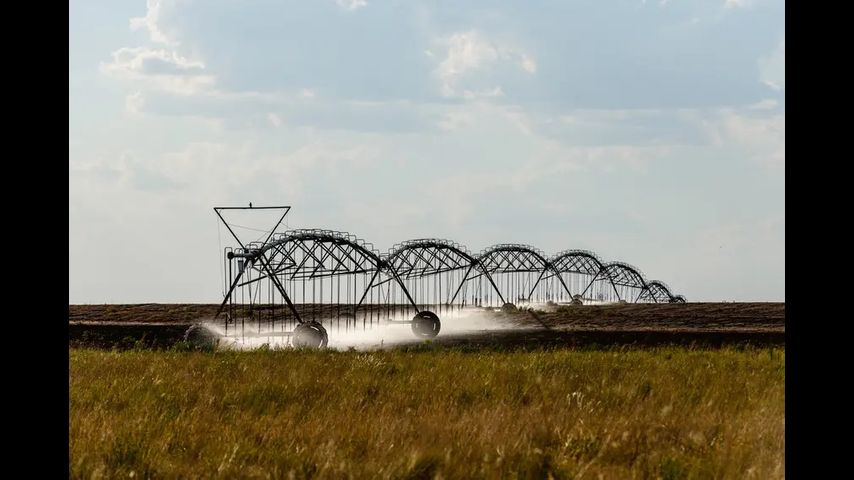 Will Republican control of Congress lead to updated ag laws? Texas farmers hope so.