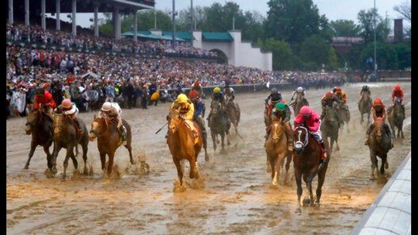 Maximum Security out of Preakness; Derby DQ to be appealed