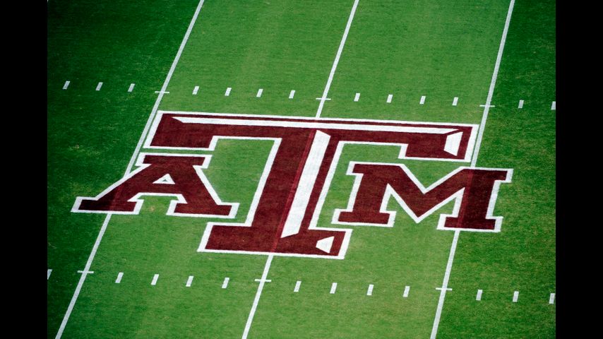 Texas A&M committee rules professor's firing over gender identity lesson was unjustified