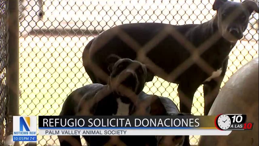 Palm Valley Animal Society busca ayuda urgente para proteger a sus animales del frío