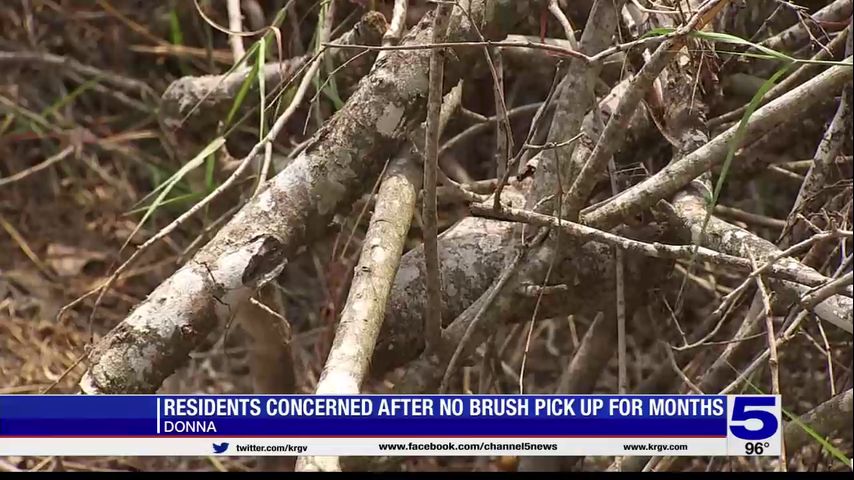 Donna residents concerned over lack of brush pickup services