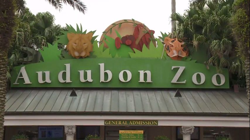 audubon zoo logo