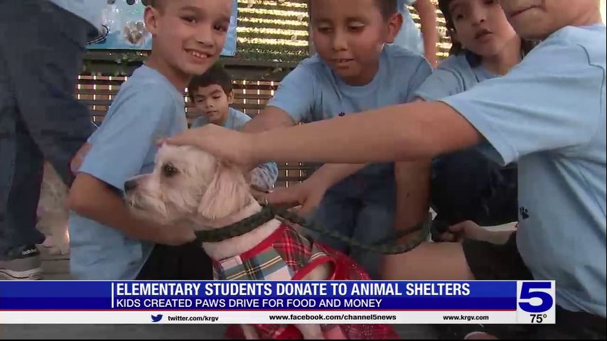 Elementary students raise funds for Valley animal shelters