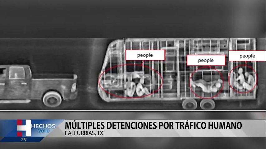 Realizan múltiples detenciones por tráfico humano en Falfurias