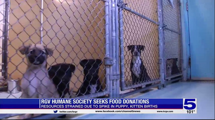 RGV Humane Society seeks food donations
