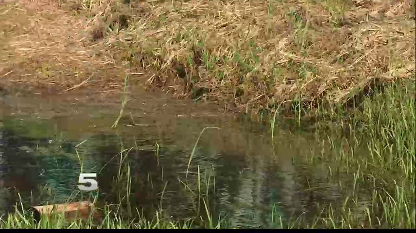 Donna Man Worries Drainage System not Working Properly will Destroy Mobile Home