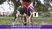 Must Luv Dogs Mardi Paws Parade will roll in Zachary on Tuesday