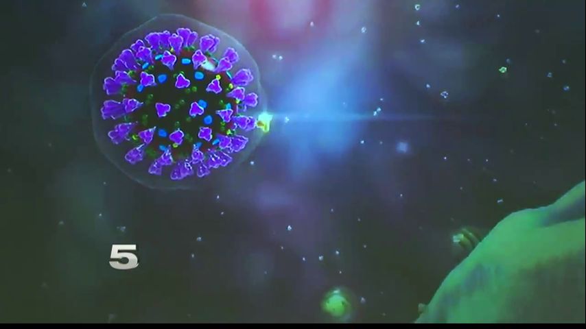 Coronavirus claims life of Alamo man, Hidalgo County reports