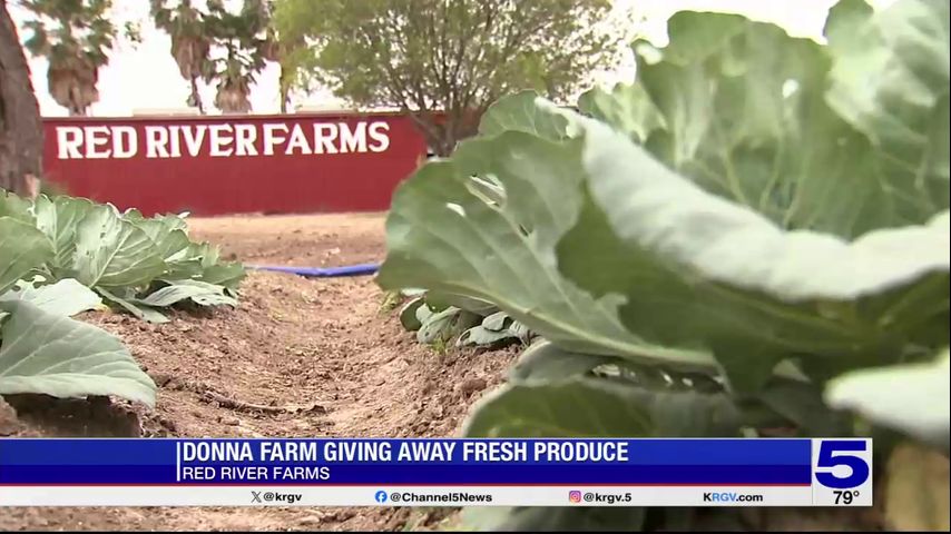 Donna farm hosts free produce drive