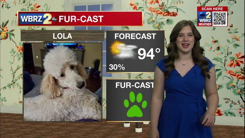 Lola Fur-cast