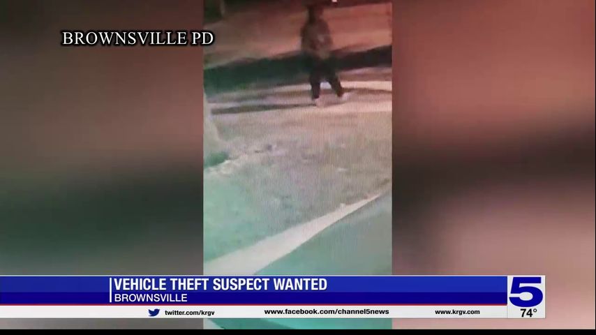 Brownsville police seeking vehicle theft suspect