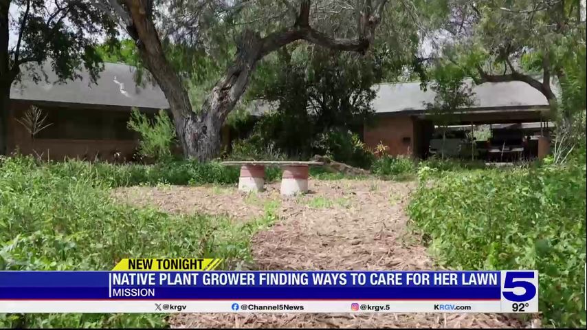 Mission woman hopes to pass new ordinance that protects native plants on front lawns