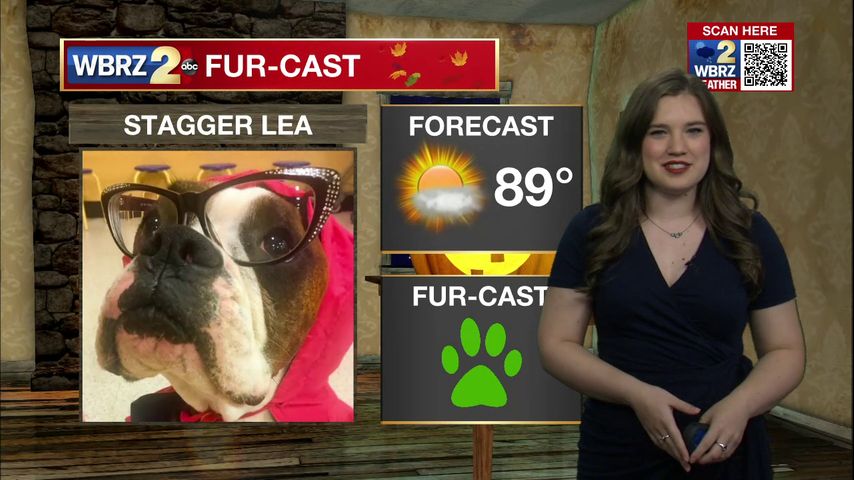 Stagger Lea Fur-Cast