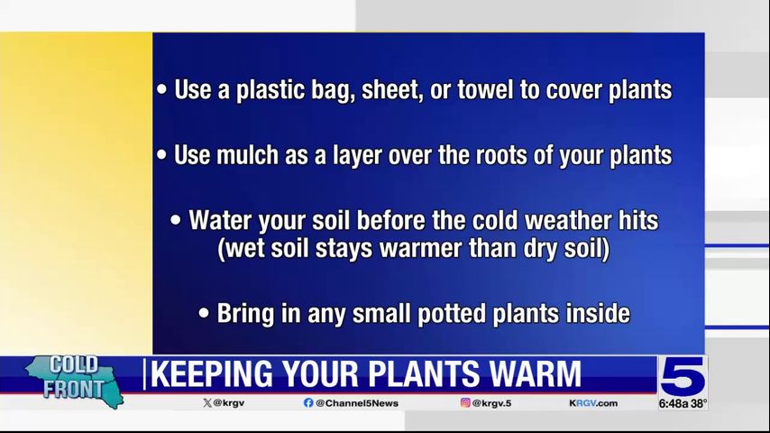 How to protect people, pipes, plants and pets during cold weather in ...