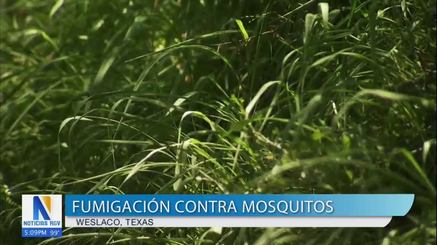 Weslaco fumiga contra mosquitos para el fin de semana