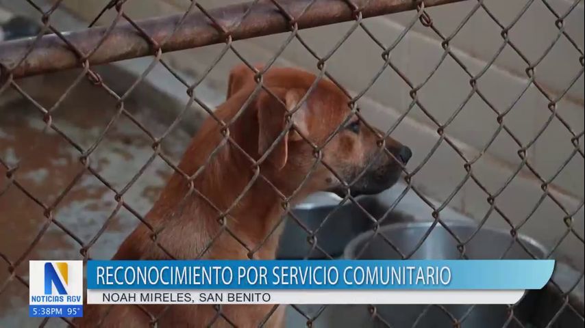 Residente de San Benito recibe reconocimiento por su labor comunitaria de adopción canina