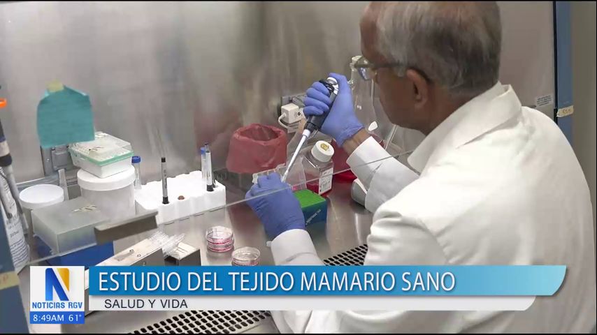 Especialistas desarrollan nuevas investigaciones sobre el tejido mamario sano