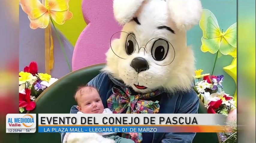 La Entrevista: Evento del conejo de Pascua en La Plaza Mall