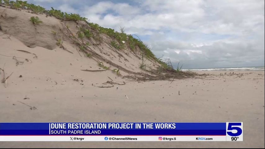 Dune restoration project in the works at South Padre Island