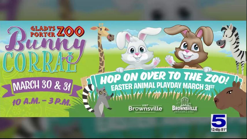 Zoo Guest: Gladys Porter Zoo to hold Easter animal play date