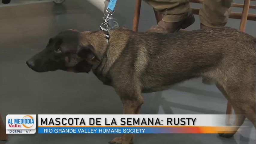 Mascota de la semana: Rusty