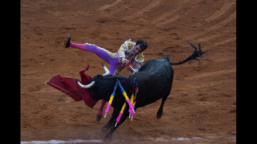 Mexico City legislature may ban bullfighting