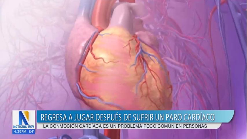 Salud y Vida: La conmoción cardíaca es un problema poco común en personas