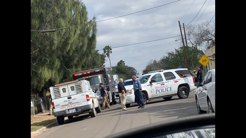 Police: 3 people arrested after drug raid at Weslaco home