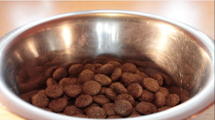 FDA: Pet food products recalled after at least 28 dogs became ill, died