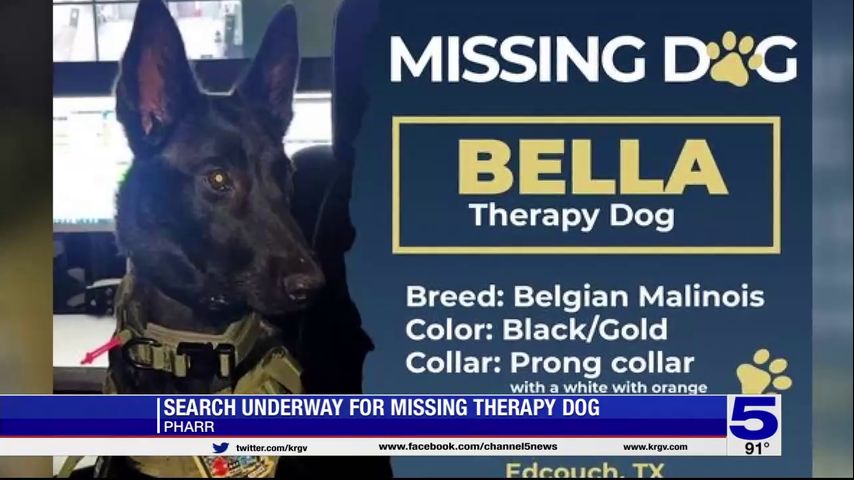Pharr public safety therapy dog reported missing