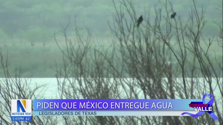 Legisladores de Texas piden que México que entregue agua al estado