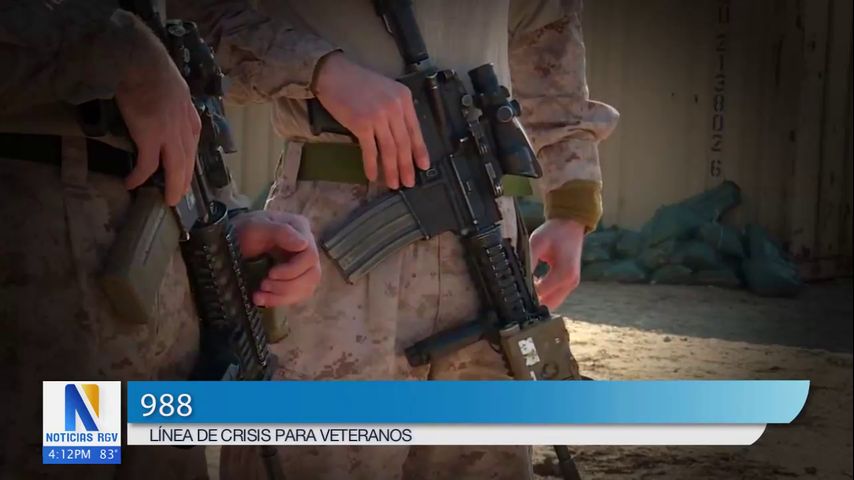 RECURSOS DE SALUD MENTAL PARA VETERANOS visual data 2