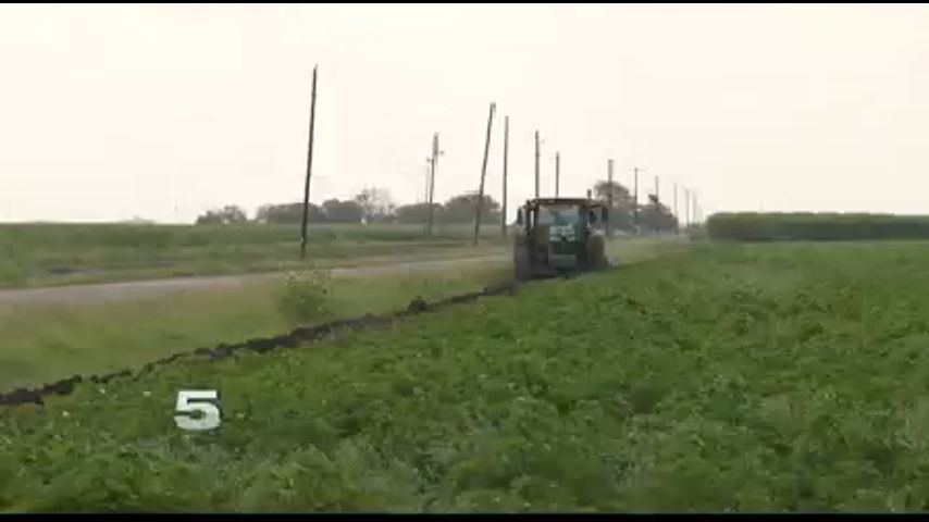 New USDA Program Offers Loan Assistance for Farmers