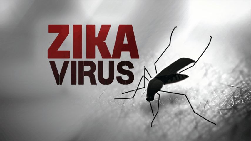 Officials Confirm Probable Zika Case in Hidalgo Co. 